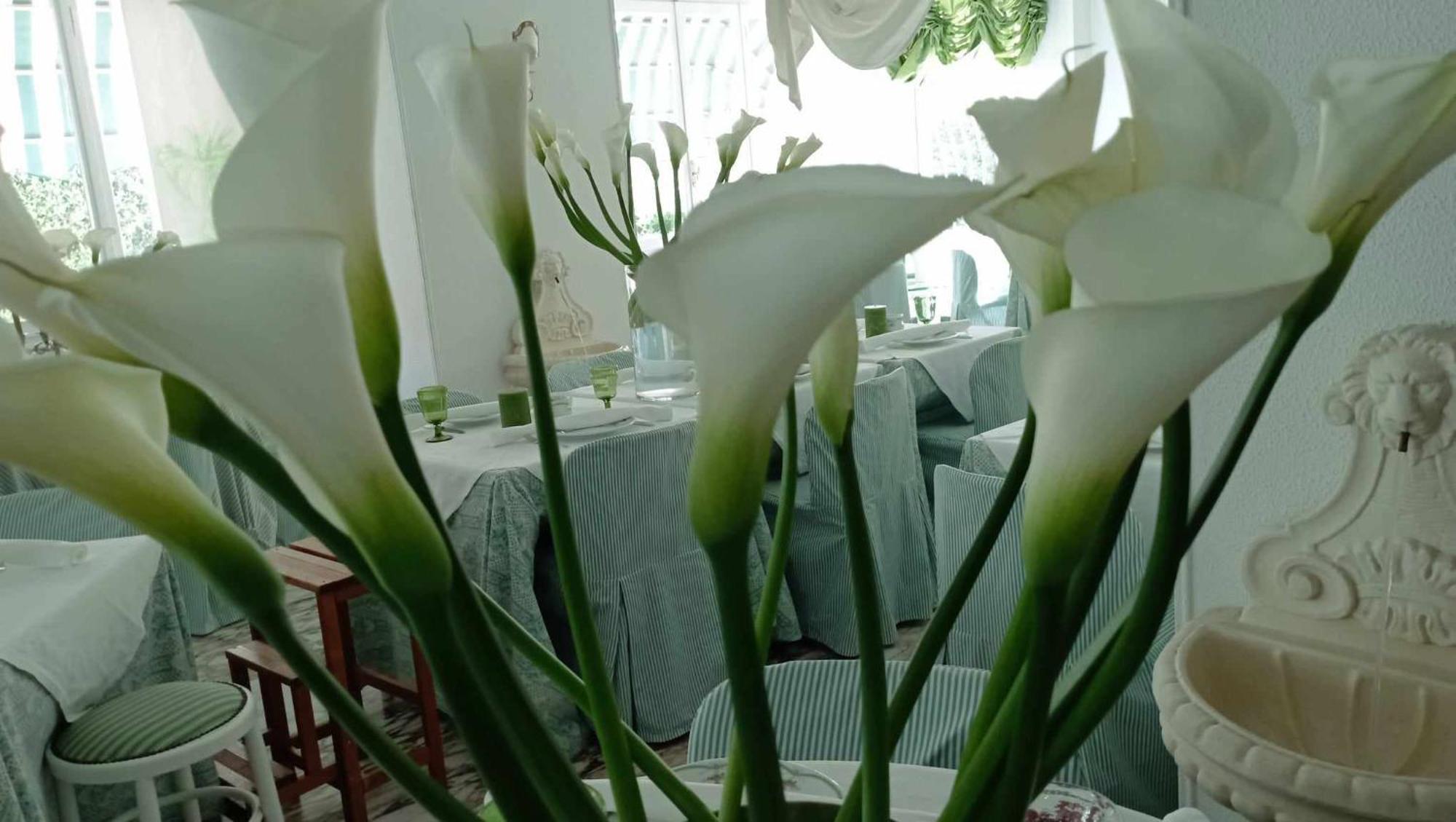 Eveline Portosole Hotel ซานเรโม ภายนอก รูปภาพ